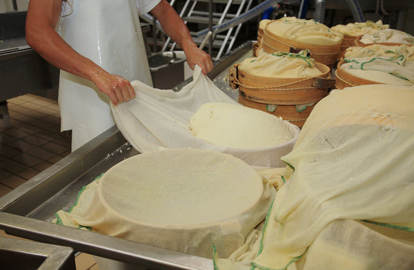 Milk to Use in Cheese