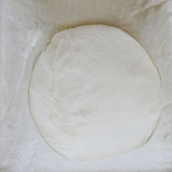 Bleached Gauze Cheese Cloth